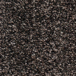 Ottawa 921 Black Olive Carpet at Crawley Carpet Warehouse