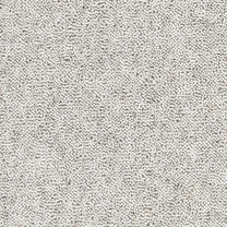 Brockway Windermere Twist LHT0023 Carpet at Crawley Carpet Warehouse