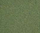 JHS Green Triumph_Loop