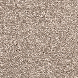 Albury 211 Coast Carpet at Crawley Carpet Warehouse