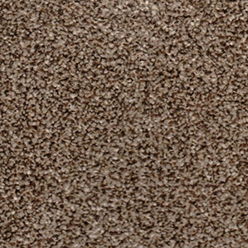 Albury 703 Buscuit Carpet at Crawley Carpet Warehouse