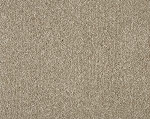Primo Ultra Putty at Crawley Carpet Warehouse