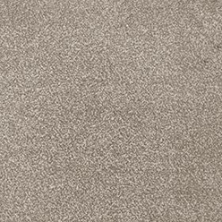 Cassius Invictus at Crawley Carpet Warehouse