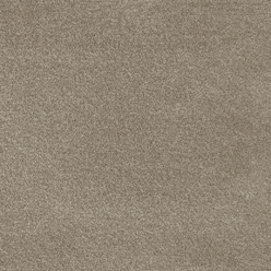 Severus Invictus at Crawley Carpet Warehouse