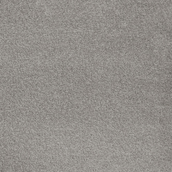 Severus Invictus at Crawley Carpet Warehouse