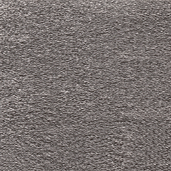 Sirius Invictus at Crawley Carpet Warehouse