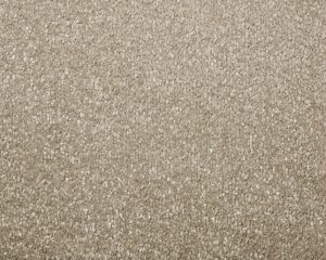 Cormar Apollo Comfort Coyote Carpet at Crawley Carpet Warehouse