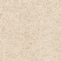 Brockway Buttermere Twist LHT0019 Carpet at Crawley Carpet Warehouse