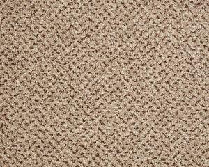 Cormar Primo Tweeds Westwood Beige Carpet at Crawley Carpet Warehouse