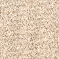 Brockway Rydal Twist LHT0020 Carpet at Crawley Carpet Warehouse