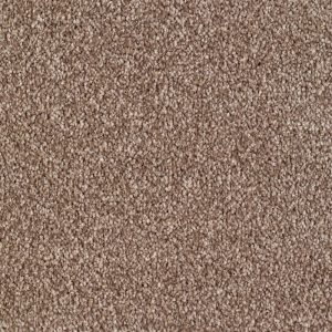 Everyroom Sennen Twist Brown at Crawley Carpet Warehouse