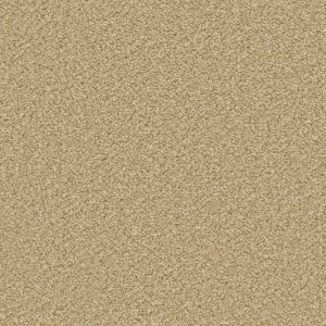 Cormar Apollo Plus Caramel At Crawley Carpet Warehouse