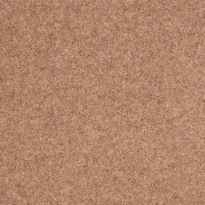 Penthouse Shoreline Castaway At Crawley Carpet Warehouse
