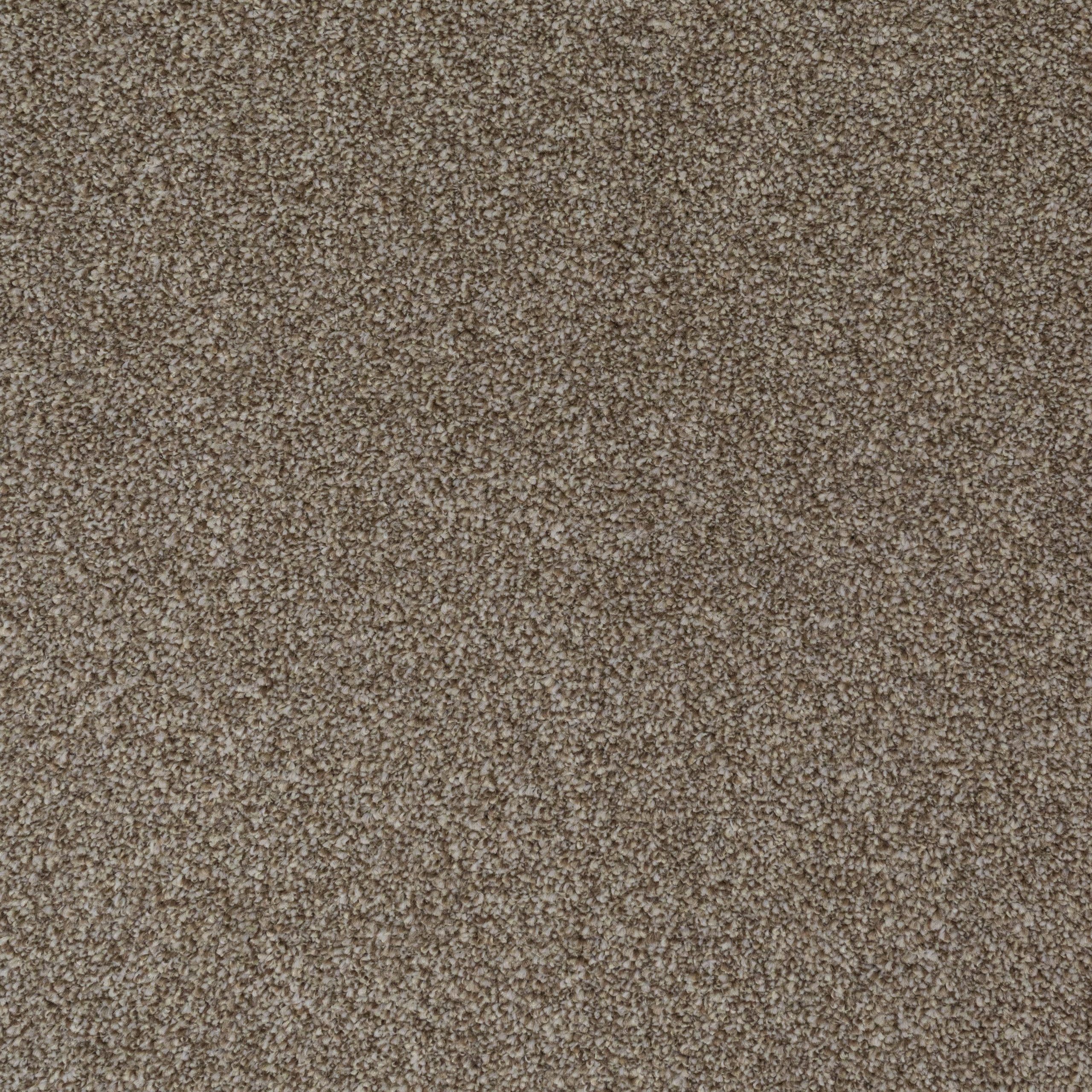 Picture of Textured Carpet | Save 30-50% on Textured Carpet - Carpet Express