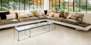 Sedna Oshun 30 Alabaster Livingroom at Crawley Carpet Warehouse