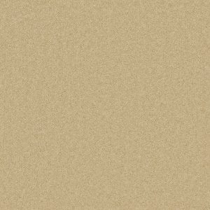 Cormar Pembroke Camel at Crawley Carpet Warehouse