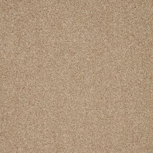 Cormar Trinity Palm Sugar Carpet at Crawley Carpet Warehouse