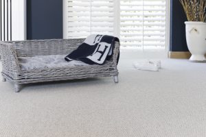 Abingdon Wilton Royal Windsor Carpets