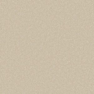 Cormar Primo Ultra Ecru Carpet at Crawley Carpet Warehouse