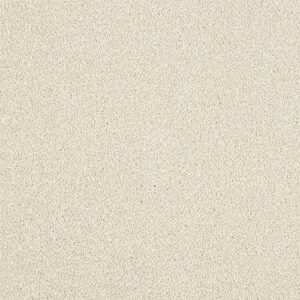 Abingdon Maximus Range at Crawley Carpet Warehouse