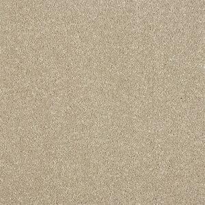 Abingdon Maximus Range at Crawley Carpet Warehouse