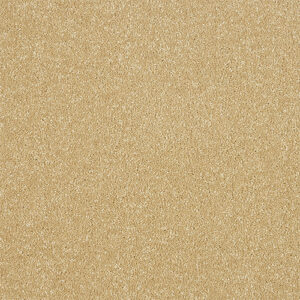 Abingdon Maximus Range at Crawley Carpet Warehouse