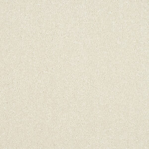 Abingdon Maximus Range at Crawley Carpet Warehouse