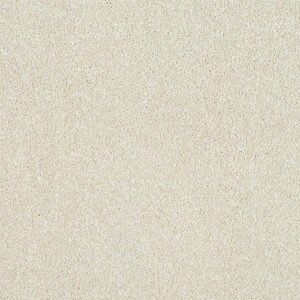 Abingdon Maximus Range at Crawley Carpet Warehouse
