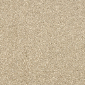 Abingdon Maximus Range at Crawley Carpet Warehouse