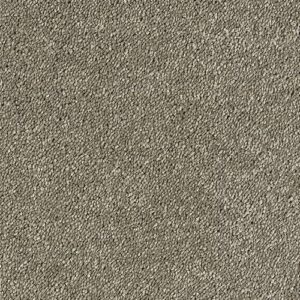 Abingdon Sophisticat Range at Crawley Carpet Warehouse