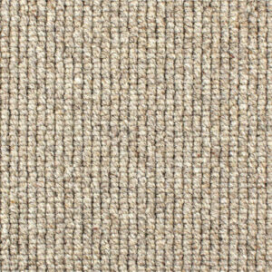 Causeway Carpet Nature Earth Beach 04