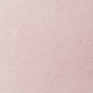 Causeway Carpets Soft Feelings Blush 8616