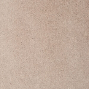 Causeway Carpets Soft Feelings Nutmeg 8613