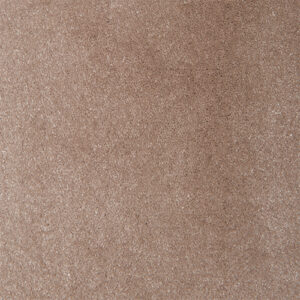 Causeway Carpets Soft Feelings Turtle Dove 8604