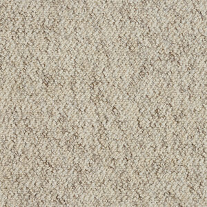 Abingdon Country Weave Berber