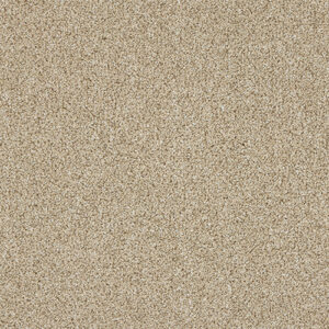 Abingdon Knightsbridge Berber Creamed Ash