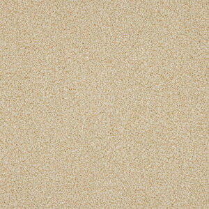 Abingdon Knightsbridge Berber Desert Fleece