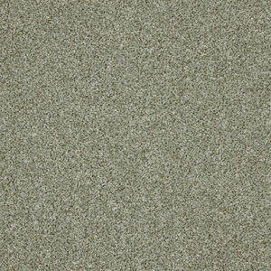 Abingdon Knightsbridge Berber Laurel