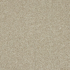 Abingdon Knightsbridge Berber Toasted Oat