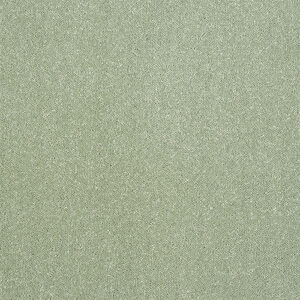 Abingdon Stainfree Captivation Putting Green