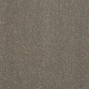 Abingdon Stainfree Captivation Seneca Rock