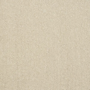 Abingdon Stainfree Captivation Turtle Dove