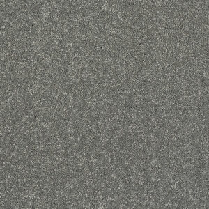 Abingdon Stainfree Caress Titanium