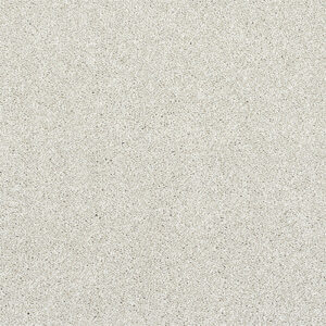 Abingdon Finesse Champagne