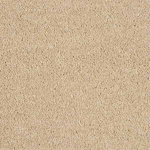 Abingdon-Hidden-Depths-Caramel-Cream at Crawley Carpet Warehouse