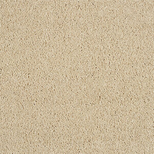 Abingdon-Soft-Whisper-Honey-Dew at Crawley Carpet Warehouse