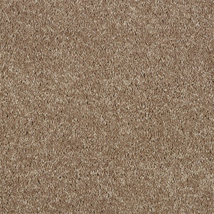 Abingdon-Soft-Whisper-Velvet-Taupe at Crawley Carpet Warehouse