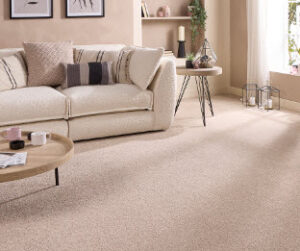 Abingdon Velvet Dreams Range at Crawley Carpet Warehouse