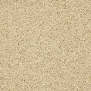 Abingdon-Velvet-Dreams-Double-Cream at Crawley Carpet Warehouse