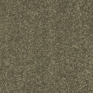 Abingdon-Velvet-Dreams-Dusty-Fern at Crawley Carpet Warehouse